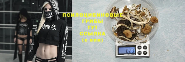 МДПВ Абаза