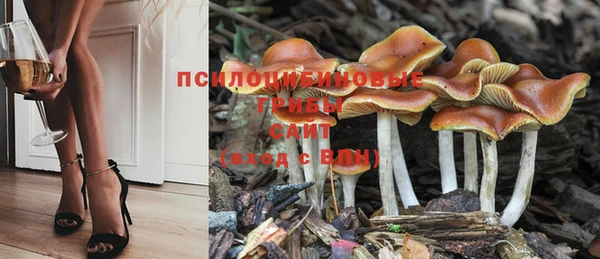 МДПВ Абаза
