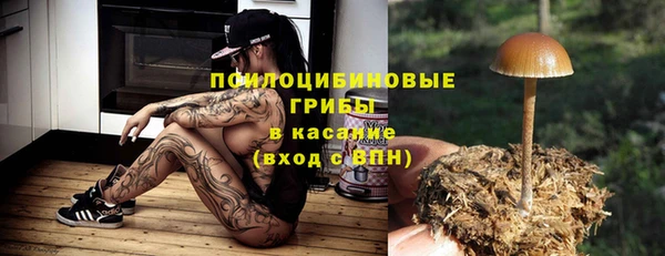 2c-b Абинск